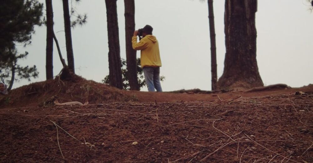 Bird Watching - Person Standing in Forest