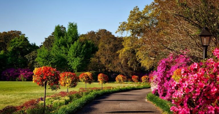 Gardens - Gray Concrete Pathway Besides Pink Flower during Day